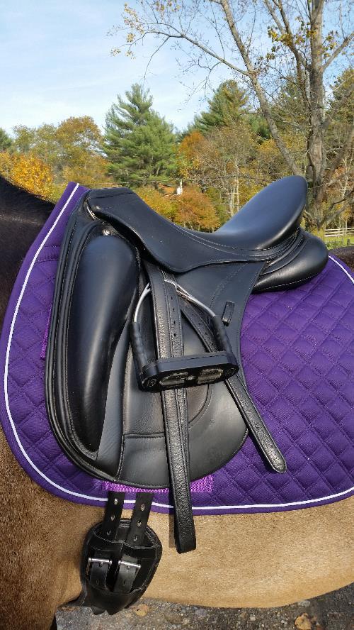 For Sale: Schleese Link II Monoflap Dressage Saddle at DressageStar.com